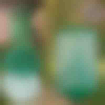 Újrafelhasználható lógó légy- és rovarcsapda | INSECTA