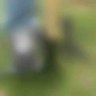 Gyomlálási szerszám | ROOTNIK