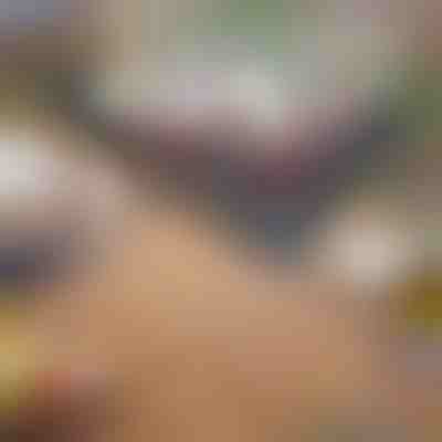 Összecsukható hordozható grill | GRILLOMATE