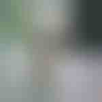 Fogkrémadagoló és fogkefetartó | BRUSHBASE